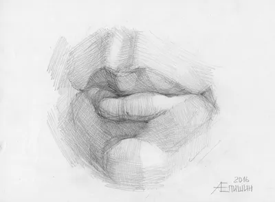 Как рисовать губы в портрете? Рисунок карандашом с обучающими схемами —  zaholstom.ru