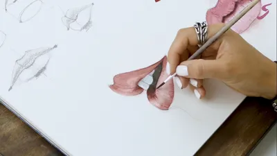 Как нарисовать губы для начинающих | Бесплатные онлайн уроки от Художник  Онлайн