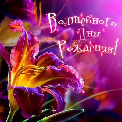 Pin by Valentina on З днем народження! | Happy anniversary, Happy birthday,  Birthday