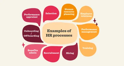 What are HR processes? | HiBob