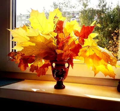 Цветная яркая осень» — создано в Шедевруме