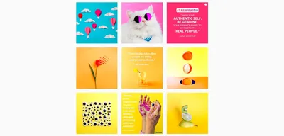 Визуал для учителя, идеи для ленты, креативный визуал, оформление Instagram  | Учитель, Дизайны блогов, Школа