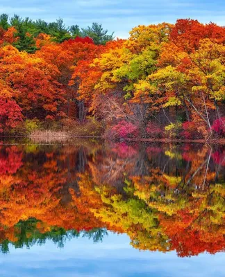 Яркие краски осени (10 фото)