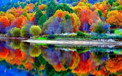 Фотообои Яркие цвета природы 58246 купить в Украине | Интернет-магазин  Walldeco.ua