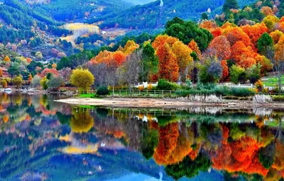 Яркие краски осени | Пикабу