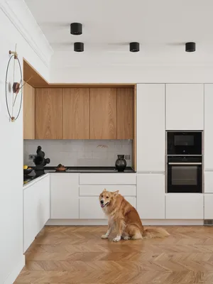 Дизайн маленькой кухни: 89 фото интерьеров, советы по оформлению | ivd.ru