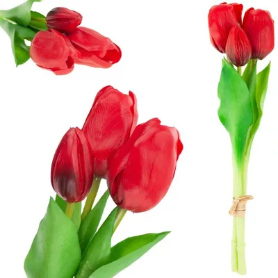 ЗАКАЗАТЬ цветы «Разноцветные тюльпаны Премиум» с доставкой по Москве - цены  и фото букета «Разноцветные тюльпаны Премиум»
