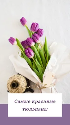Тюльпаны букет тюльпанов прорезиненные резиновые как яркие 3шт желтый  CV17690-7 (ID#1973774561), цена: 653 ₴, купить на Prom.ua