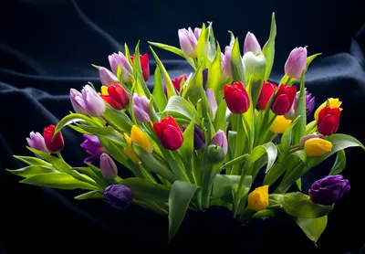 Букет из 49 разноцветных тюльпанов купить с бесплатной доставкой в Москве  по цене 5 960 руб.