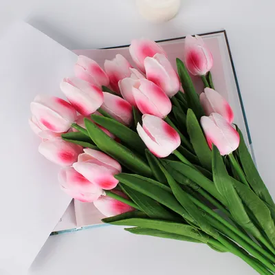 Красивые тюльпаны в разных размерах: скачайте картинку на свой вкус |  Тюльпан Фото №453 скачать