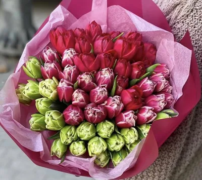 Интерьерная картина \"Цветы. Разноцветные тюльпаны\" - купить по низкой цене  в интернет-магазине OZON (1011514751)