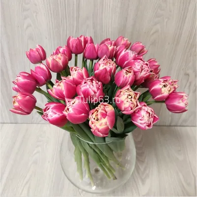 Яркие тюльпаны цветы оранжевый фон фотография обои И картинка для  бесплатной загрузки - Pngtree