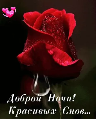 Доброй ночи! Красивых снов!💞💞💞### | TikTok