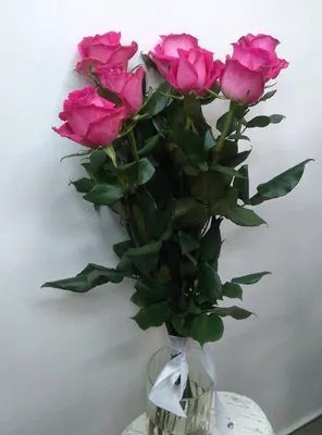 Купить Пионовидная ярко-розовая роза поштучно Херсон | UFL