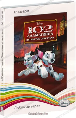 Игры магнитные ИН-7612 Домашние животные Рыжий кот в Оренбурге - купить в  интернет магазине УЕНЧЫК, выгодная цена, доставка по России