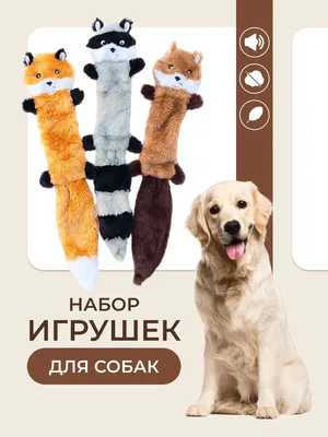 Petstages игрушка Mini ОРКА \"Косточка\" для собак – Игрушки для собак
