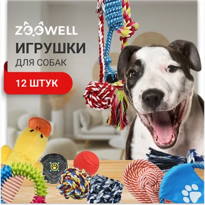 Игрушки для собак и щенков - резиновые, жевательные, кости, мячи - купить в  Киеве в магазине leto.ua