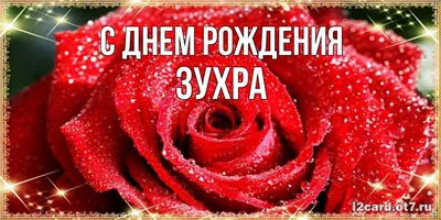 Картинка - Зухра, с новым годом твоей жизни!.