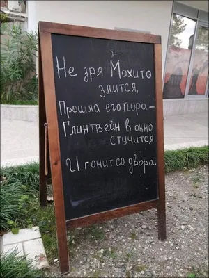 Линейка 20см, с надписями \"Приколы\", 21х2,9см, пластик, 3 дизайна купить с  выгодой в Галамарт