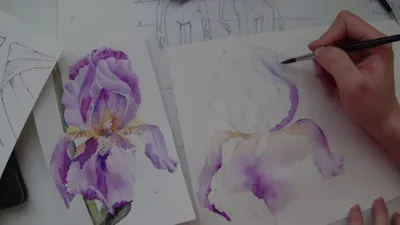 Как нарисовать цветок для начинающих // Ирис карандашами - YouTube