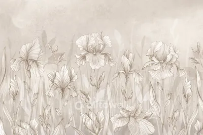 Рисунок Ирисы,Рисунок пастелью. in 2024 | Flower art, Floral oil paintings,  Iris painting