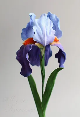 Синие большие ирисы из стекла в вазе Амфора, 3 цветка. - Imperialglass