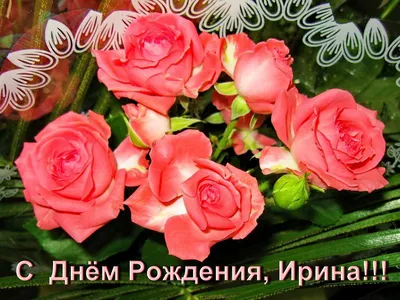 Картинки с днем рождения ирина михайловна красивые с цветами (61 фото) »  Картинки и статусы про окружающий мир вокруг