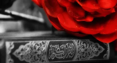 Красивые исламские картинки со смыслом - 83 фото