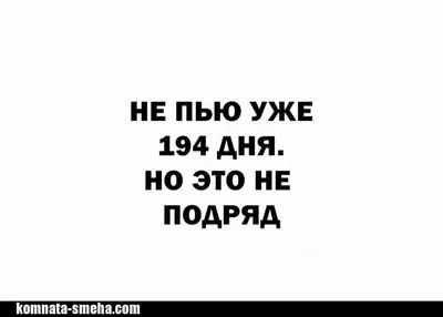 Юмор от подписчиков - смешные картинки и анекдоты | Бросаем пить вместе |  Дзен