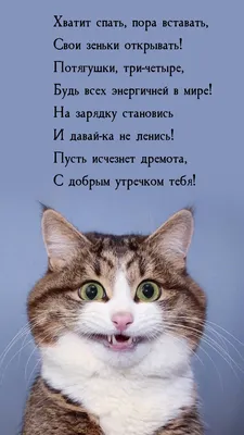 https://ucrazy.ru/pictures/1695580962-tak-sebe-kartinki.html