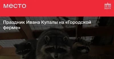 День Ивана Купалы в 2022 году в Приморье: где и когда пройдут купальские  праздники - KP.RU