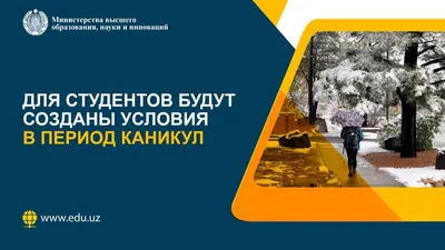 Новогодние каникулы заканчиваются, пора настраиваться на рабочий лад и  возвращаться к привычному ритму. Не всем это даётся.. | ВКонтакте