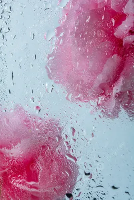 Капли воды на стекле в дождливый вечер, прозрачная текстура. Stock Photo |  Adobe Stock