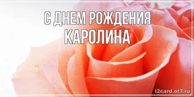 С днём рождения, Каролина!🌟🌸 Желаем много радостных и непоседливых  минуток, побольше интересных открытий и впечатлений, чтобы счастье  постоянно искрилось... | By Колосок - Частный детский сад, Киевский район,  г. Одесса | Facebook