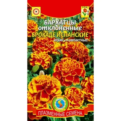 Цветы Бархатцы Тайшан Оранжевые/Сем Алт/цп 5 шт. Низкорослые гиганты