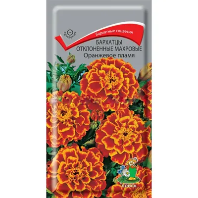 Купить цветы бархатцы махровые гиганты 0,3г по оптимальной цене.  Строительные материалы оптом и в розницу с доставкой