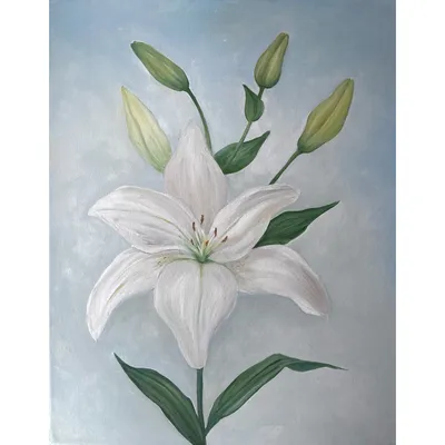 Купить картину Белая лилия в Москве от художника Уткина Мария