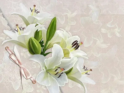 белая лилия - 28Kartin
