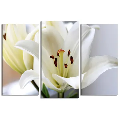 Фотообои Белая лилия на желтом фоне артикул Fl-493 купить в Оренбург|;|9 |  интернет-магазин ArtFresco