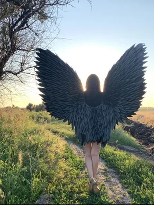 крыло ангела на черном фоне, картина с крыльями фон картинки и Фото для  бесплатной загрузки