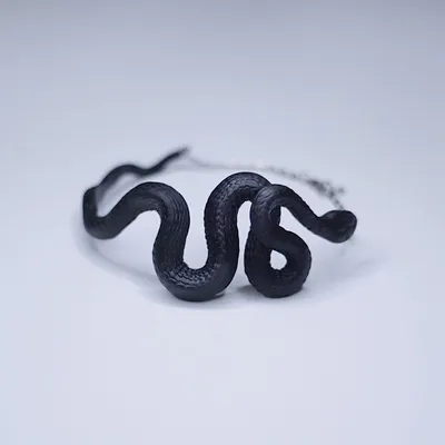 Rasyan Бальзам для массажа с экстрактом черной змеи, 50 мл– купить в  интернет-магазине, цена, заказ online