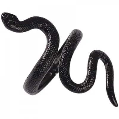 Картина по номерам \" Змеи / белая и черная / рептилии \" холсты на  подрамнике 40 на 50 - купить с доставкой по выгодным ценам в  интернет-магазине OZON (758252097)