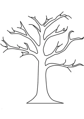 Дерево — Википедия