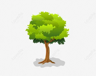 Оливковое дерево d15 см купить недорого в интернет-магазине товаров для  сада Бауцентр