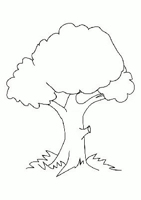 Дерево - Png (пнг) картинки и иконки без фона