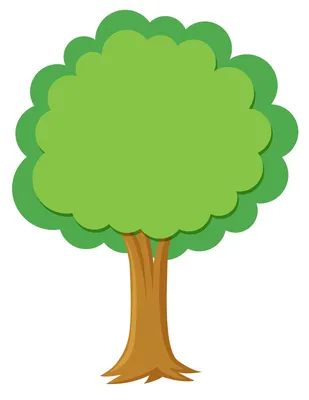 Оливковое дерево как живое - премиум качество от WoodLane