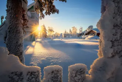 Картинки доброе утро снег зима (63 фото) » Картинки и статусы про  окружающий мир вокруг