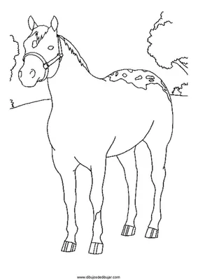 Мустанг Дикая лошадь Маска для головы лошади Книжка-раскраска, мустанг,  лошадь, белый png | PNGEgg