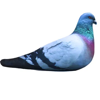 Подушка-антистресс в виде голубя (разные дизайны) купить в  интернет-магазине, подарки по низким ценам