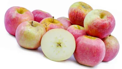 Яблоня с золотыми яблоками в волшебном саду